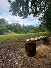 Cabin on 3+ acres, pvt creek, mtn views, hot tub - Image 5