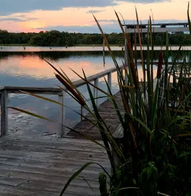Lake Seminole, Spring Creek, 'Owls Nest Cottage' - Image 3