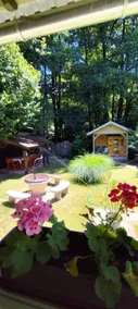 Cottage by the stream in Verőce - Image 3