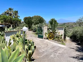 Muse Home (Entire Private House and private Pool) - Image 2