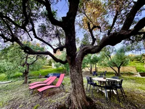 Nada Home - Image 5