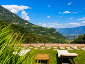 Vacation among vineyards and mountain panoramas - Image 3