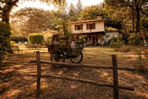 I'm off to Umbria, La Casa nel bosco - Image 4
