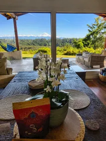 Stunning Mt Rainier View home, hot tub, fire pit. - Image 3