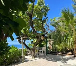 Tehinavai Bungalow: Oceanfront, sandy and coral beach, whale-watching, Moorea - Image 2