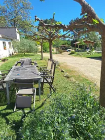 Ecological cottage surrounded by Var nature - Image 3