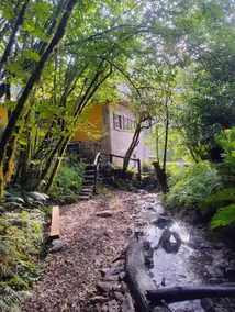The Yellow House - Image 5