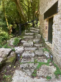 The Yellow House - Image 4