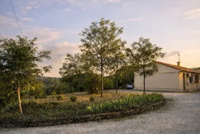 Air-conditioned House | Large Garage | Exterior - Image 5