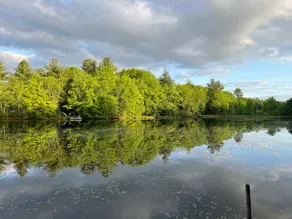 Relaxing Lake Home-close to Dells! Dogs Welcome - Image 3