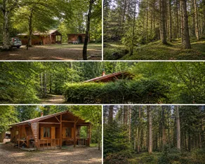 Peaceful chalet in the heart of the forest - Image 2