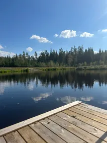 Idyllic accommodation with its own swimming lake near Isaberg - Image 2