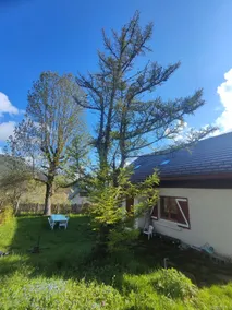 Cozy mountain house with breathtaking views - Image 3