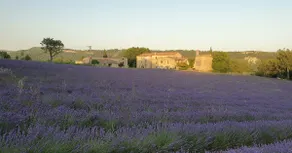 Accommodation in a stone farmhouse with swimming pool - Image 2