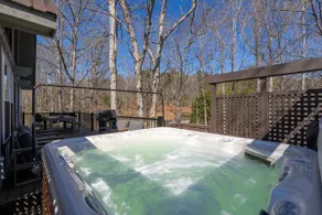Lake Keowee Cabin: Peaceful and Bright - Image 3