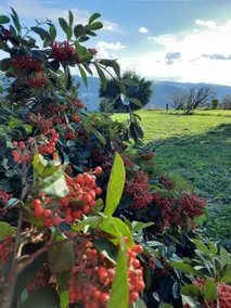 Small paradise for hikers in Connac, Les Lauzes - Image 2
