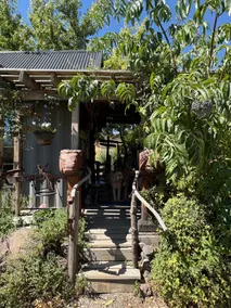 Tiny house - Guesthouse - Image 2
