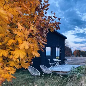 Field View Cabin - Image 2
