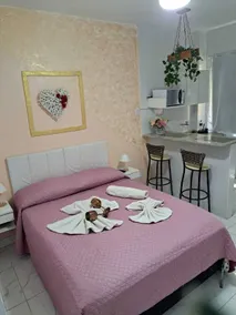 Romantic apartment in downtown Barra Mansa - Image 4