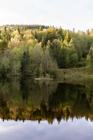 Forest Retreat Lake & Trails 25 min from Québec - Image 4