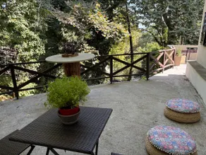 Pelion 7 Lives - Image 3