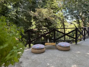 Pelion 7 Lives - Image 5