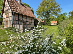Restored storage on Resthof - Image 5
