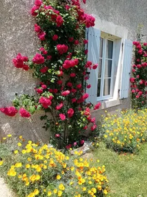 Large, charming gîte with pool. - Image 5