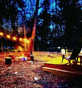 Lakeside Retreat w/Fire Pit & Skylights - Image 2
