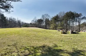 Lazy Lane Cabins - Bushwood Cabins - Image 4