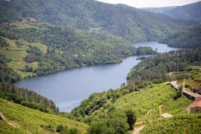 Guest House, Ribeira Sacra - Image 2