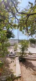 Leodi Place - Image 4