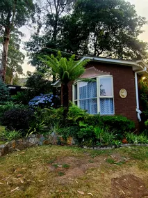 Studio in the foothills - Image 3