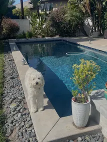 Poolhouse studio - Image 2
