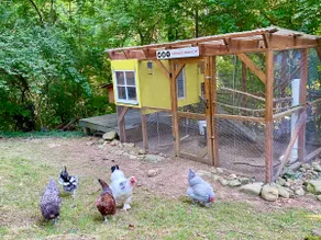 Central Nashville Escape with Secluded Forest Deck - Image 4