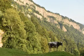 Rigi nature holidays, peace with dreamy views - Image 3