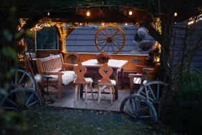 Peace and quiet in a secluded forest - Image 2