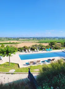 1 - Winery, swimming pool & children's games - Image 2