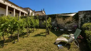 Vineyards, Nature and Venetian Villas - Image 2