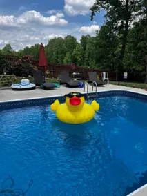 The Oasis - salt water pool is Open! - Image 2