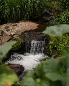 The “Salto de la Trucha” Cabin - Image 5