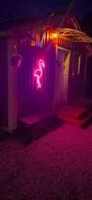 Flamingo' - Image 3