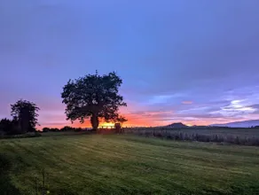 FINN VILLAGE - Loch Lomond Sunset Glamping Pod - Private Ofuro HOT TUB - Image 5