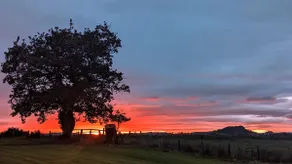 FINN VILLAGE - Loch Lomond Sunset Glamping Pod - Private Ofuro HOT TUB - Image 3