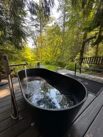 Wild Hearts Cottage-Forest Retreat - Image 3