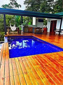 Stunning Ocean View, Infinity Pool, OutdoorKitchen - Image 5