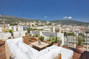 Luxury apartment with 35 m2 rooftop - Image 2