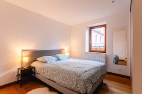 Renovated Apartment: Downtown Annecy - Image 3
