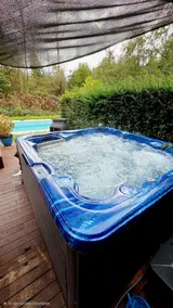 Villa in the forest of Amsterdam with Pool - Image 2