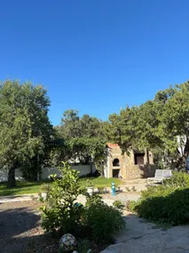 Atlas Houses (Almond House) - Image 2